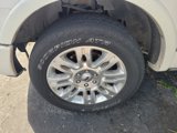 Used 2011 Ford F150 Platinum image 4