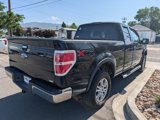 Used 2010 Ford F150 XLT image 4