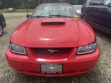 Used 2002 Ford Mustang GT image 3