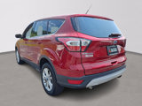 Used 2017 Ford Escape SE image 5