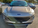 Used 2021 Ford Escape SEL image 2