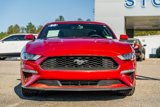 Certified 2020 Ford Mustang Coupe w/ Equipment Group 101A image 2