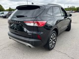 Used 2020 Ford Escape SE Sport image 4