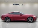 Used 2016 Ford Mustang Coupe w/ Interior & Wheel Package image 4