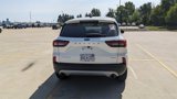 Certified 2023 Ford Escape Active image 4