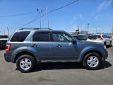 Used 2012 Ford Escape XLT image 4
