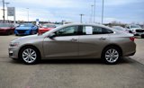 Used 2024 Chevrolet Malibu LT image 5