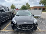 Used 2022 Ford Escape SEL w/ SEL Stealth AWD Package image 2