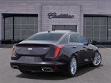 New 2025 Cadillac CT4 Premium Luxury image 4