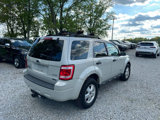 Used 2008 Ford Escape XLT image 5