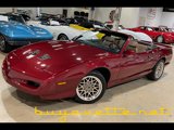 Used 1991 Pontiac Firebird Trans Am image 2