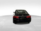 Used 2013 Honda Accord Sport image 4