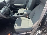 New 2025 Kia K4 LXS image 4