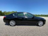 Used 2013 Honda Accord EX-L image 3