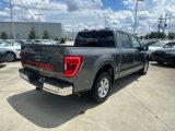 Used 2023 Ford F150 XLT image 5