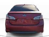Used 2010 Lexus HS 250h image 6