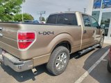 Used 2014 Ford F150 XLT w/ Equipment Group 302A Luxury image 3