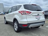 Used 2014 Ford Escape SE image 3