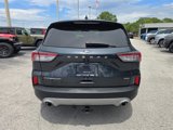 Used 2022 Ford Escape Titanium image 5