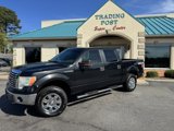 Used 2010 Ford F150 XLT image 3