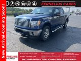 Used 2010 Ford F150 XLT image 2