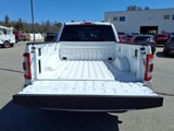Certified 2023 Ford F150 Lariat image 5