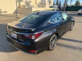 Certified 2024 Lexus ES 300h w/ Premium Package image 6