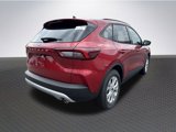 New 2025 Ford Escape Active w/ Tech Pack #1 image 6