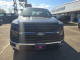 New 2024 Ford F150 XLT w/ Mobile Office Package image 2