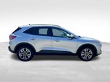 Used 2021 Ford Escape SEL image 6