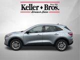 Used 2022 Ford Escape SE w/ Cold Weather Package image 3