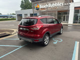 Used 2015 Ford Escape Titanium image 5