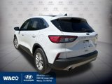 Used 2020 Ford Escape SE image 5