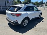 Used 2020 Ford Escape SE image 4