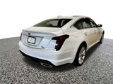 New 2025 Cadillac CT5 Premium Luxury w/ Sun And Sound Package image 5