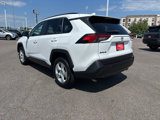 Used 2020 Toyota RAV4 XLE image 3