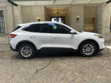 Used 2021 Ford Escape SE w/ Convenience Package image 2