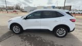 Used 2022 Ford Escape SE image 5