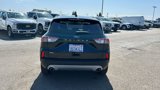 Used 2022 Ford Escape SEL image 4