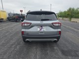 Used 2022 Ford Escape Titanium image 4