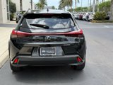 Used 2020 Lexus UX 200 w/ Premium Package image 4