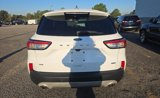 Used 2021 Ford Escape SE image 5