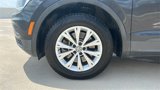 Used 2019 Volkswagen Tiguan SE image 4