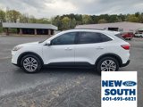 Used 2020 Ford Escape SEL image 2