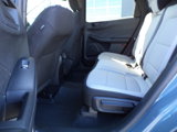 Used 2023 Ford Escape Active w/ Tech Pack #1 image 3