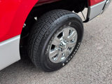 Used 2010 Ford F150 FX4 image 6