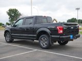 Used 2017 Ford F150 XLT w/ Equipment Group 302A Luxury image 3