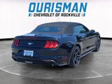 Used 2018 Ford Mustang Premium w/ Equipment Group 201A image 6