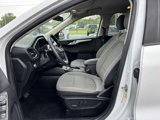 Used 2020 Ford Escape SE image 3