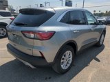 Certified 2022 Ford Escape SE image 5